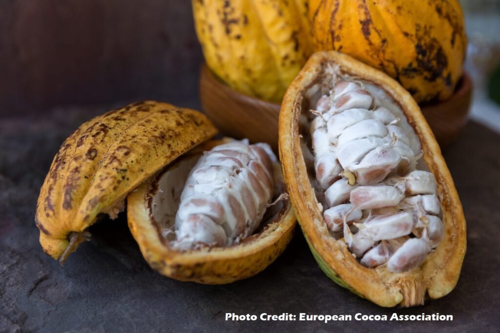 Photo credit to European Cocoa Association