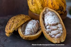 Photo credit to European Cocoa Association