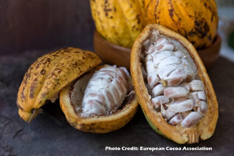 Photo credit to European Cocoa Association